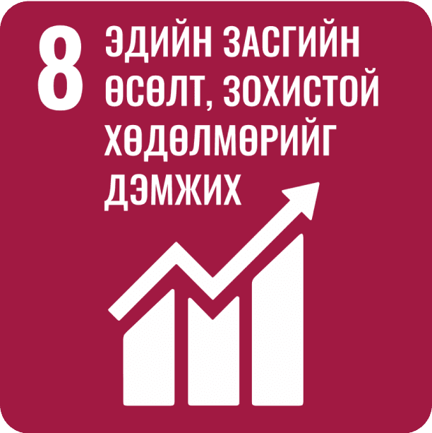 SDG 8