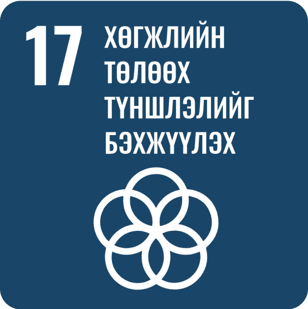 SDG 17